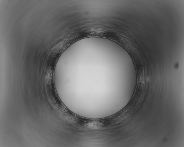 X0000115690468200912031447