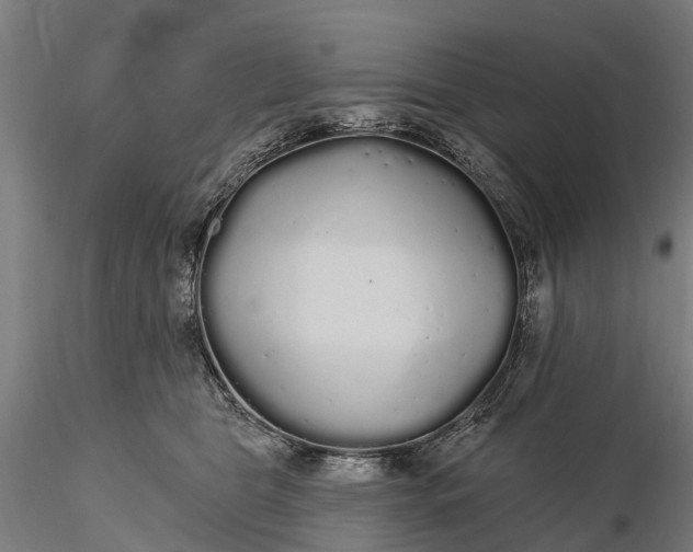 X0000115690469200912031447