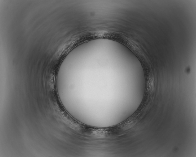 X0000115690470200912031447