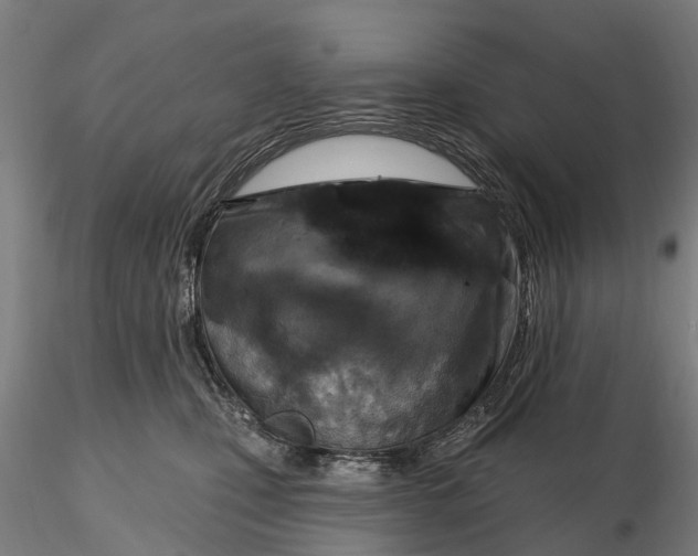 X0000115690471200912031447