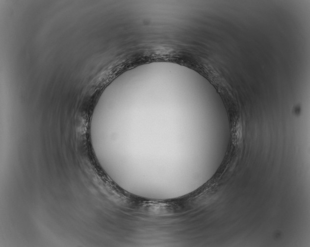 X0000115690472200912031447