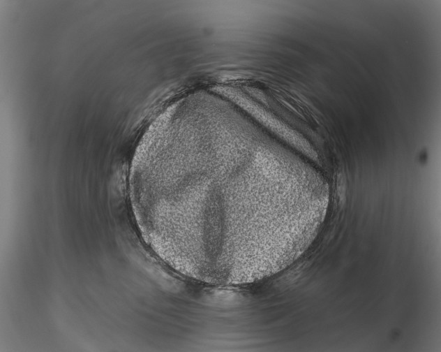 X0000115690475200912031447