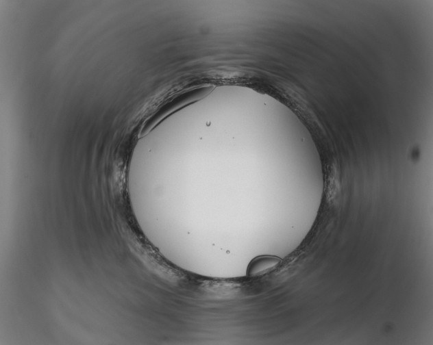 X0000115690476200912031447