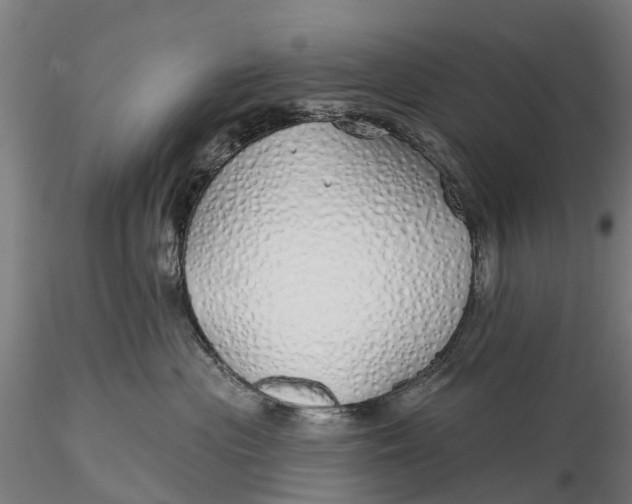 X0000115690477200912031447