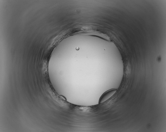 X0000115690478200912031447