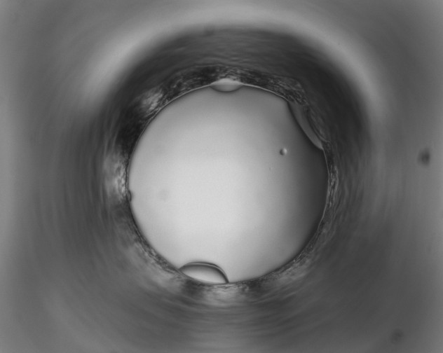 X0000115690479200912031447