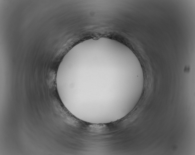 X0000115690480200912031447