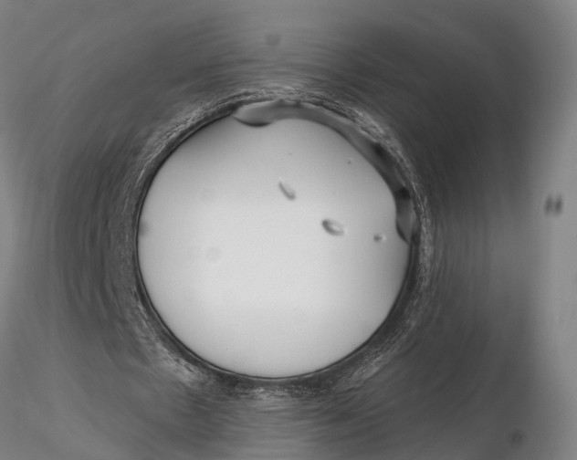 X0000115690481200912031446