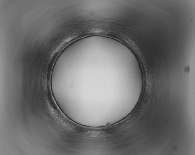 X0000115690482200912031446