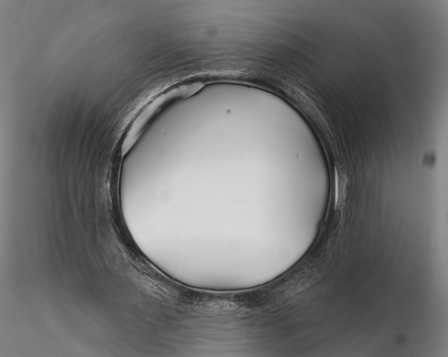 X0000115690483200912031446