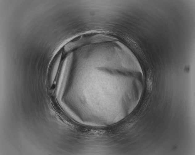 X0000115690484200912031446