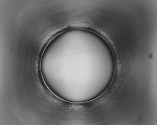 X0000115690487200912031446