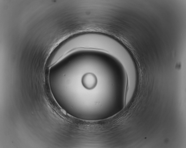 X0000115690488200912031446