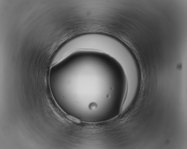 X0000115690489200912031446