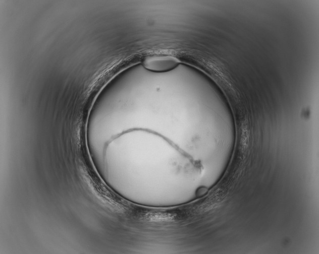 X0000115690491200912031446