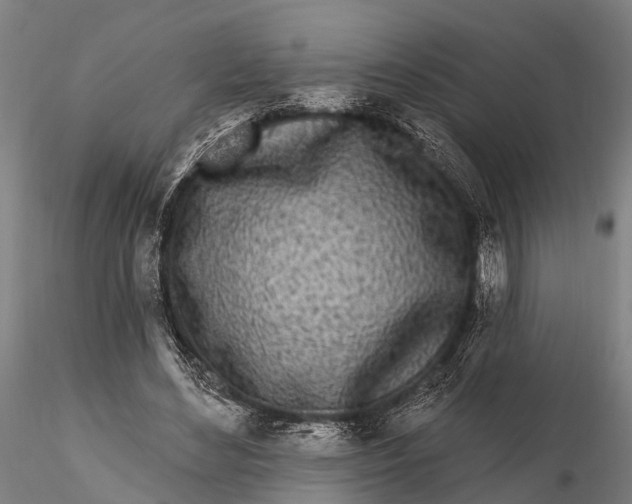 X0000115690492200912031446