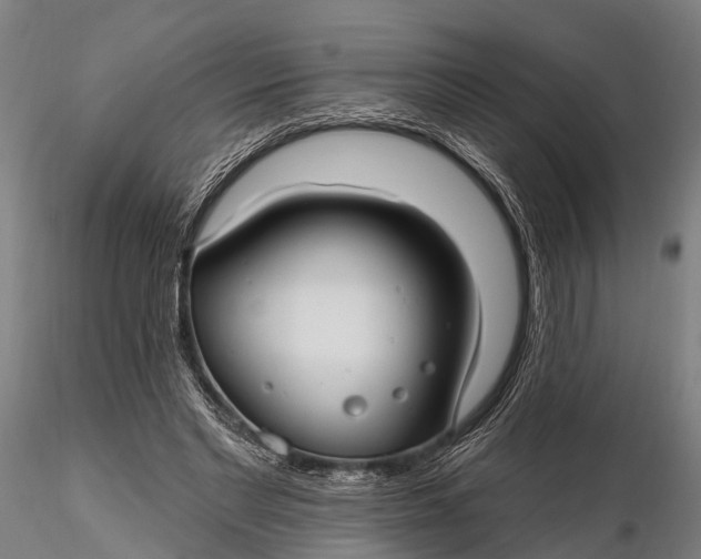 X0000115690493200912031446