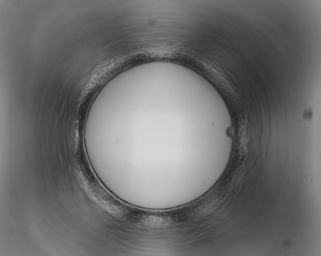 X0000115690494200912031446