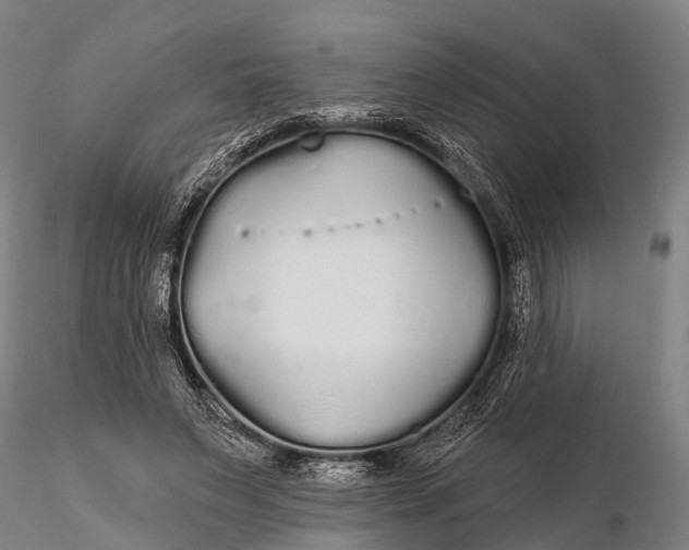 X0000115690495200912031446