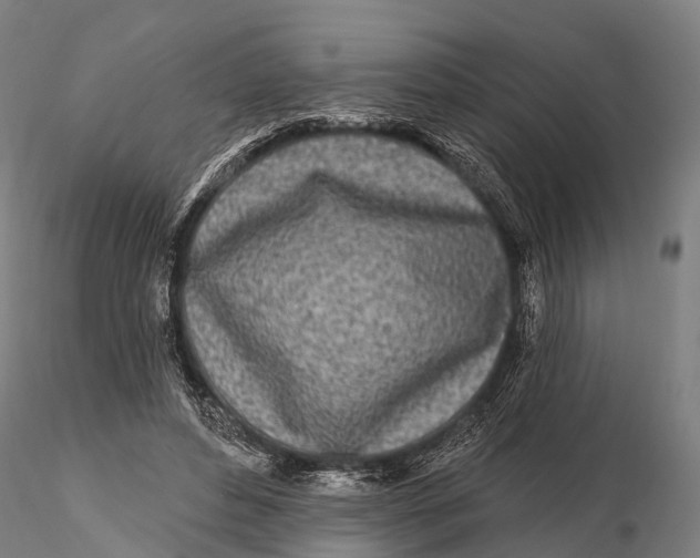 X0000115690496200912031446