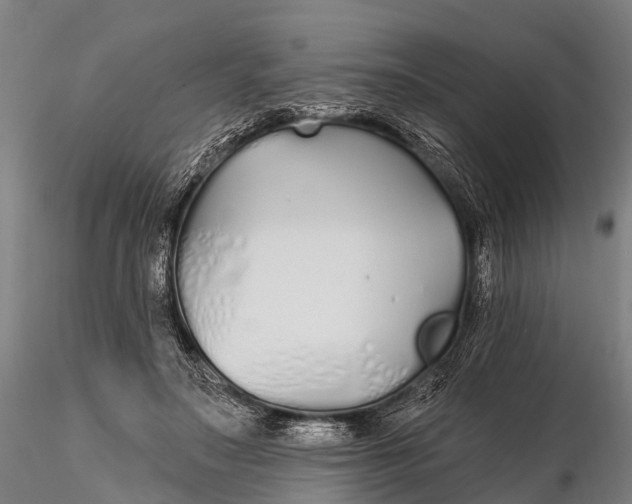 X0000115690499200912031446