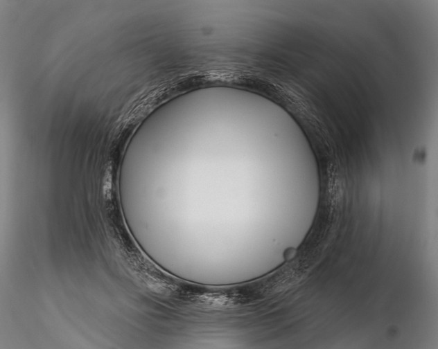 X0000115690502200912031446