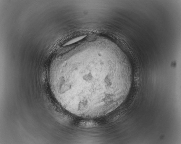 X0000115690503200912031446