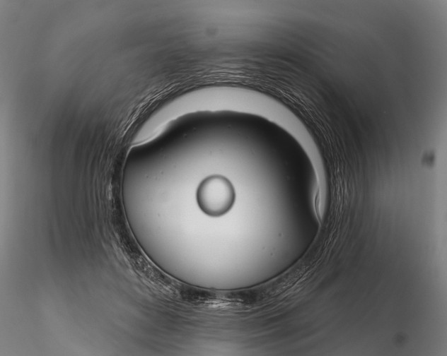 X0000115690504200912031446