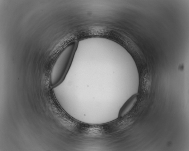 X0000115690505200912031446