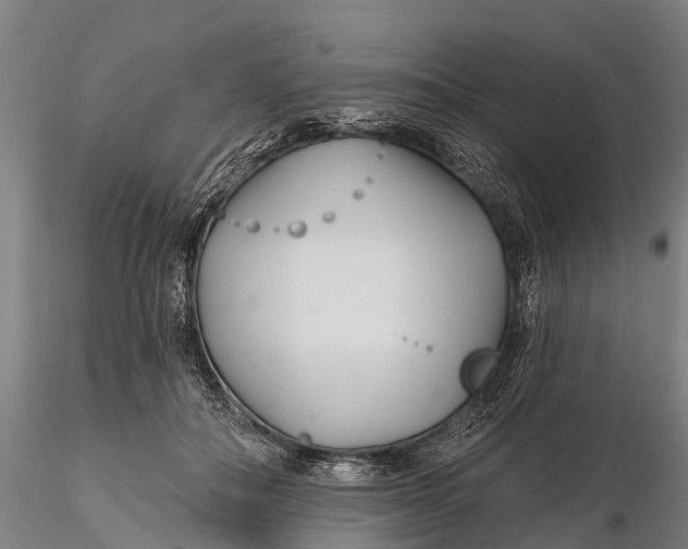 X0000115690506200912031446