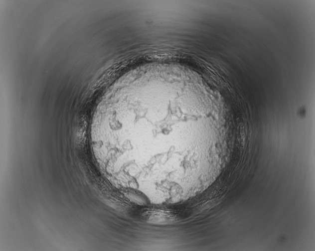 X0000115690507200912031446