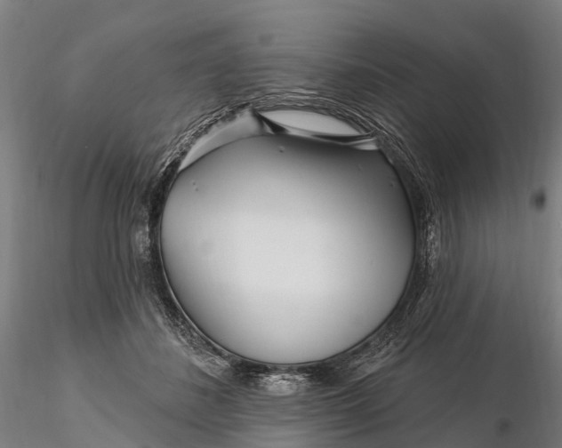 X0000115690508200912031446