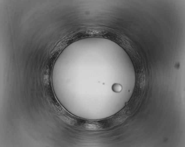 X0000115690510200912031446