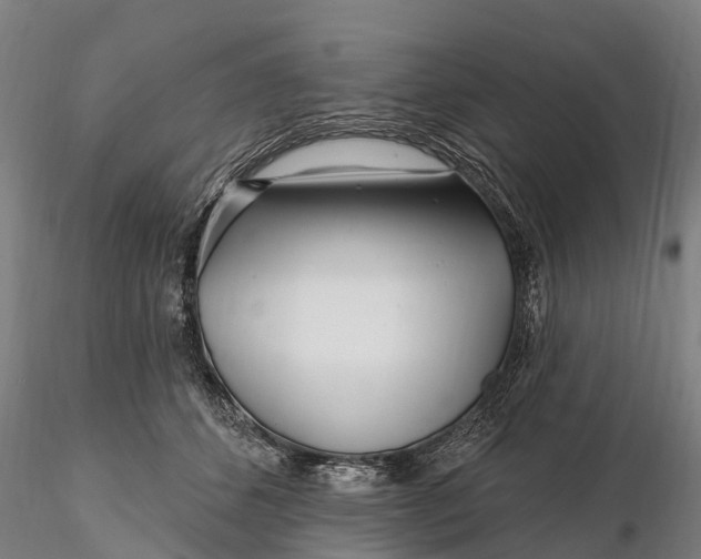 X0000115690512200912031445