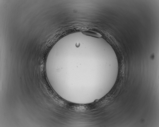 X0000115690513200912031445