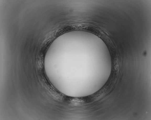 X0000115690515200912031445