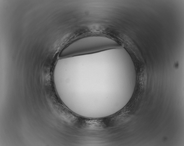 X0000115690516200912031445