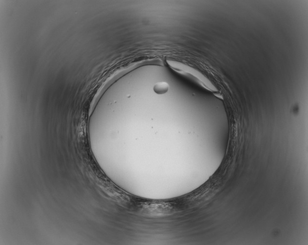 X0000115690517200912031445