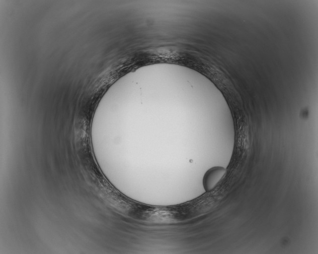 X0000115690518200912031445