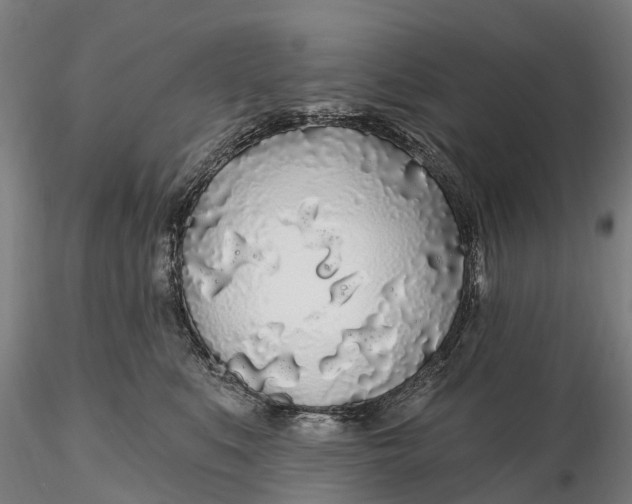 X0000115690519200912031445