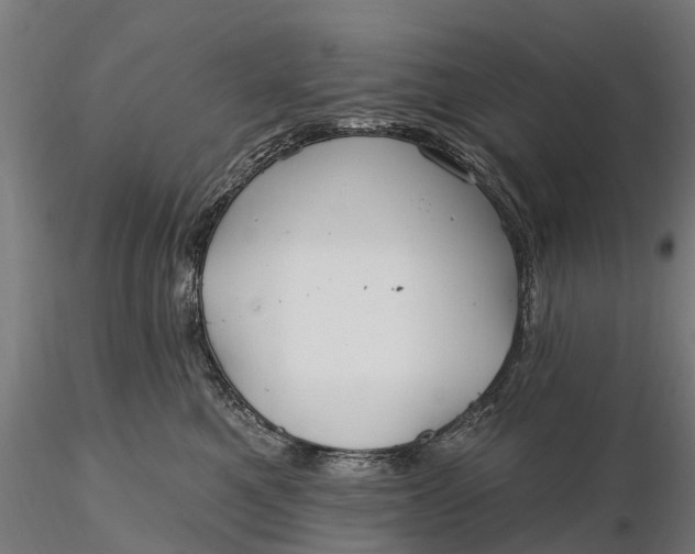 X0000115690521200912031445