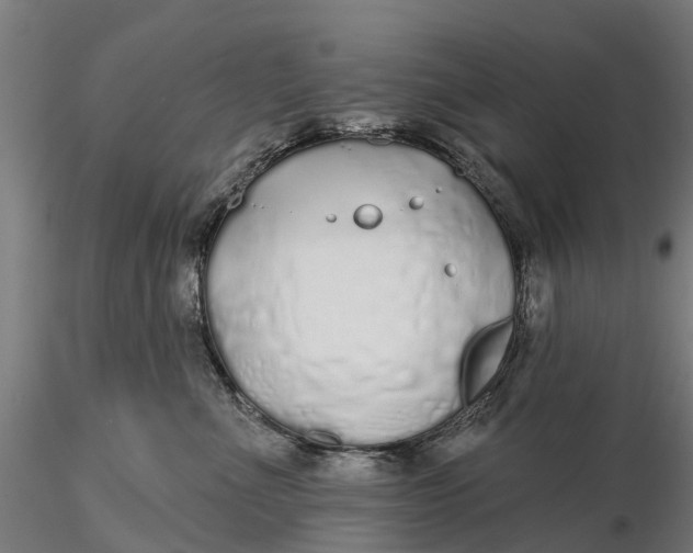 X0000115690523200912031445