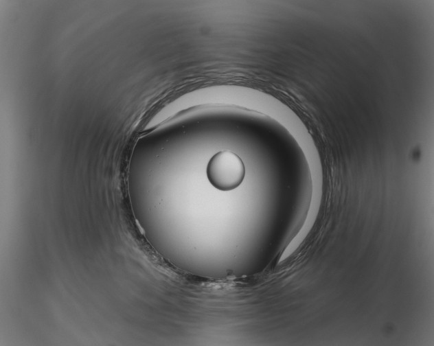 X0000115690524200912031445