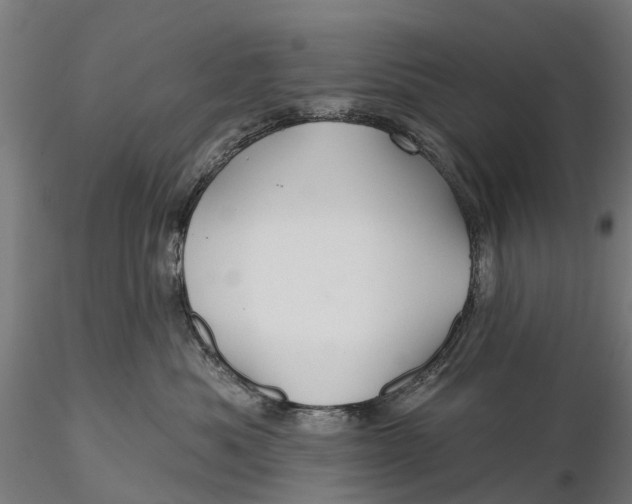 X0000115690525200912031445