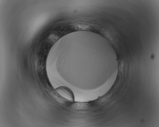 X0000115690526200912031445