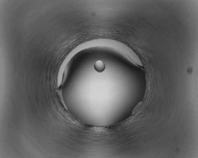 X0000115690528200912031445