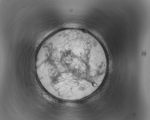 X0000115690529200912031444