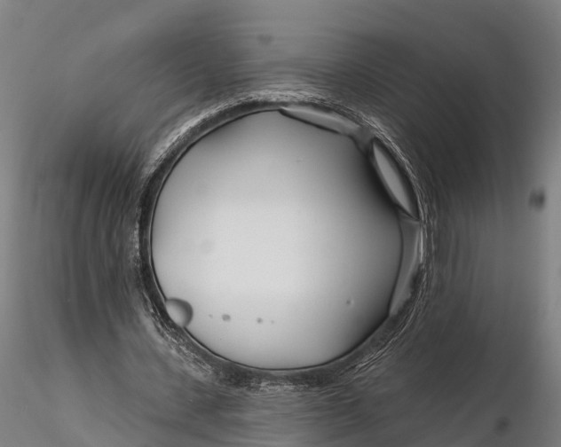 X0000115690531200912031444