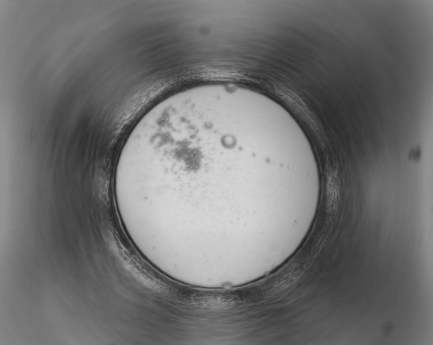 X0000115690533200912031444