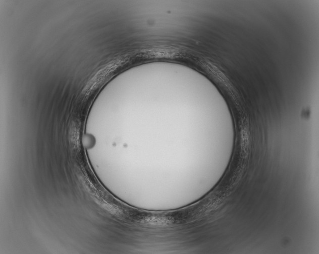 X0000115690537200912031445